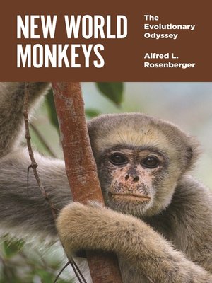 cover image of New World Monkeys